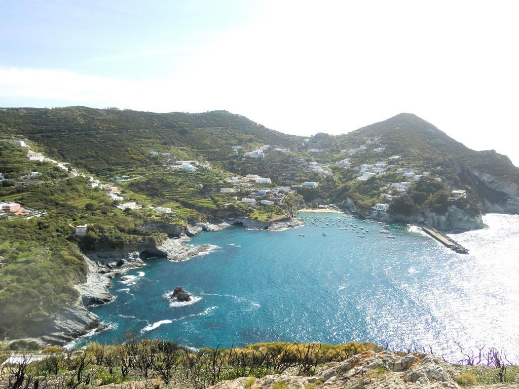 L'Incanto Di Cala Feola Ponza Exterior photo