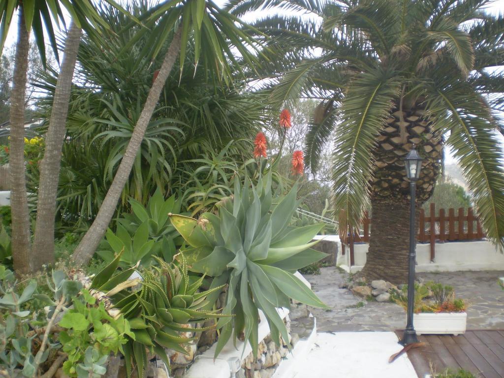 L'Incanto Di Cala Feola Ponza Exterior photo